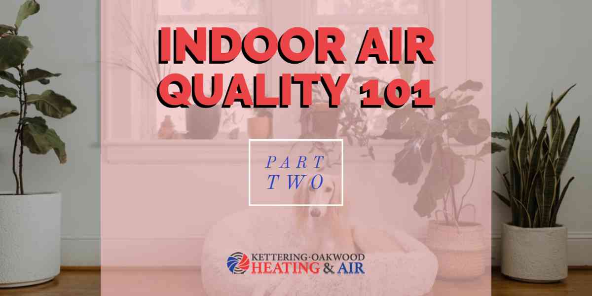 KOHA – IAQ 101 – 2